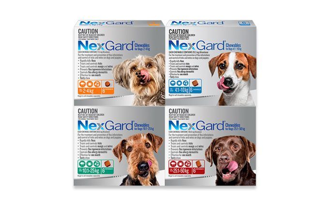 Nexgard For Dogs — Wauchope Rural Centre In Wauchope, NSW