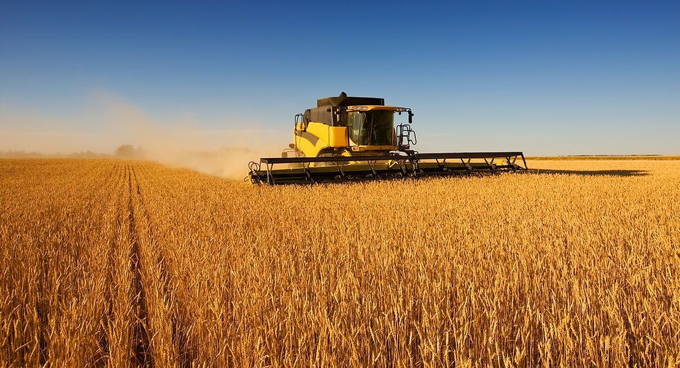 A Yellow Combine Harvester Is Harvesting A Wheat Field — Wauchope Rural Centre In Wauchope, NSW