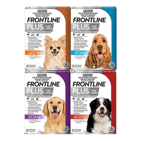 Frontline Plus For Large Dogs Is A Flea And Tick Treatment For Dogs — Wauchope Rural Centre In Wauchope, NSW