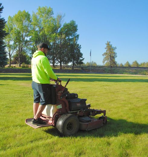 A person in a yellow shirt mows a green lawn with a red riding mower on a sunny day.
