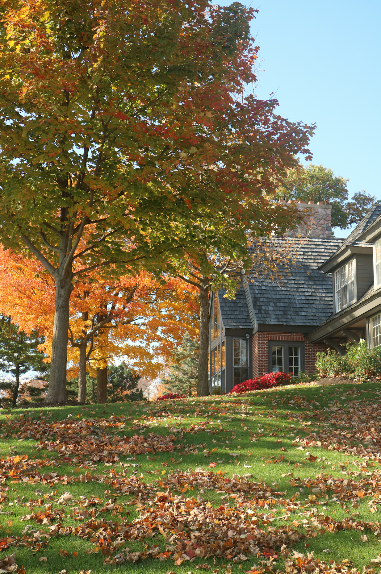 Autumn trees with red and orange leaves in front of a brick building with a slate roof, green lawn with fallen leaves.