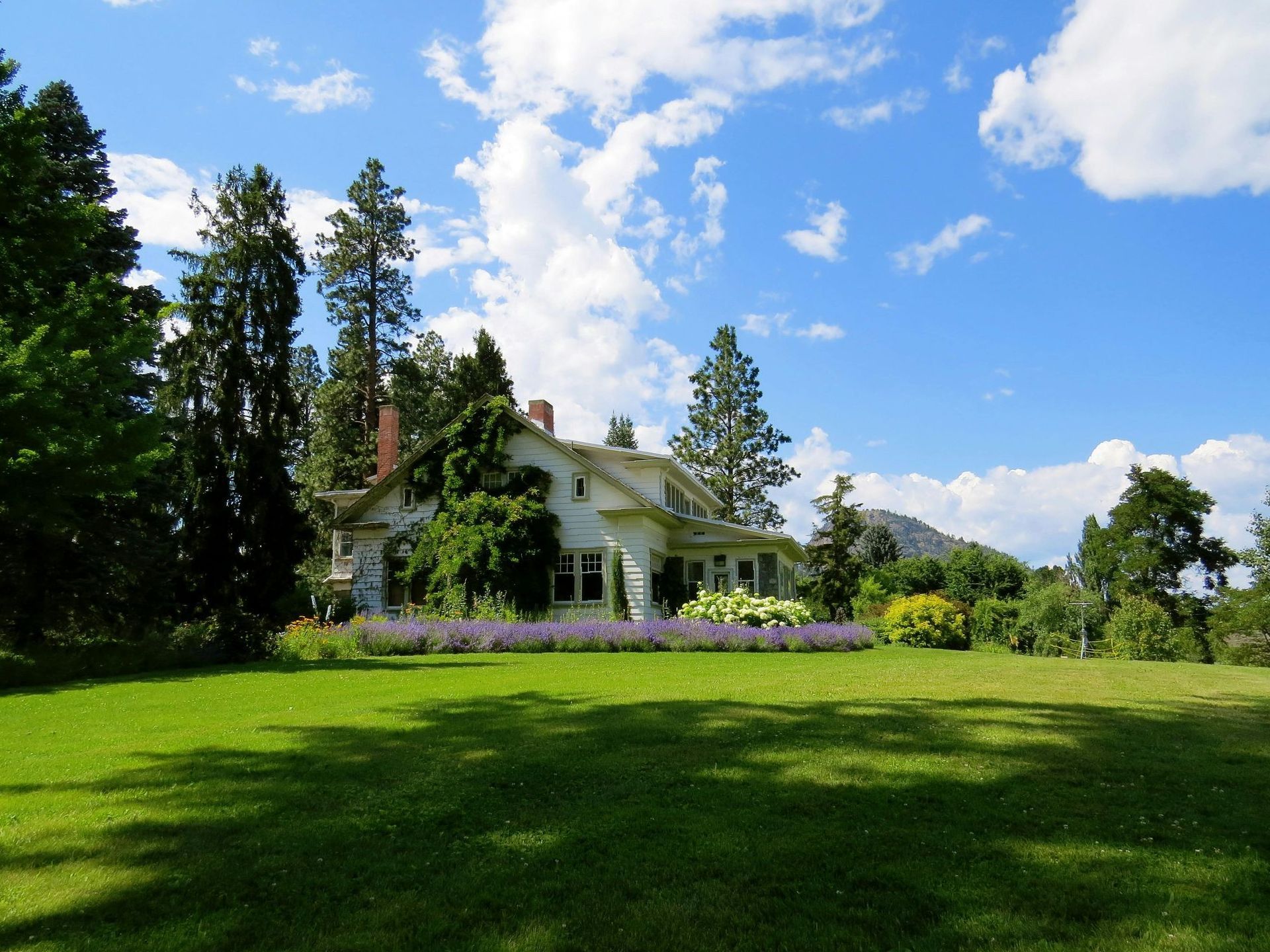 White house with large yard, tall trees, and blue sky with clouds. Lavender flowers in front.