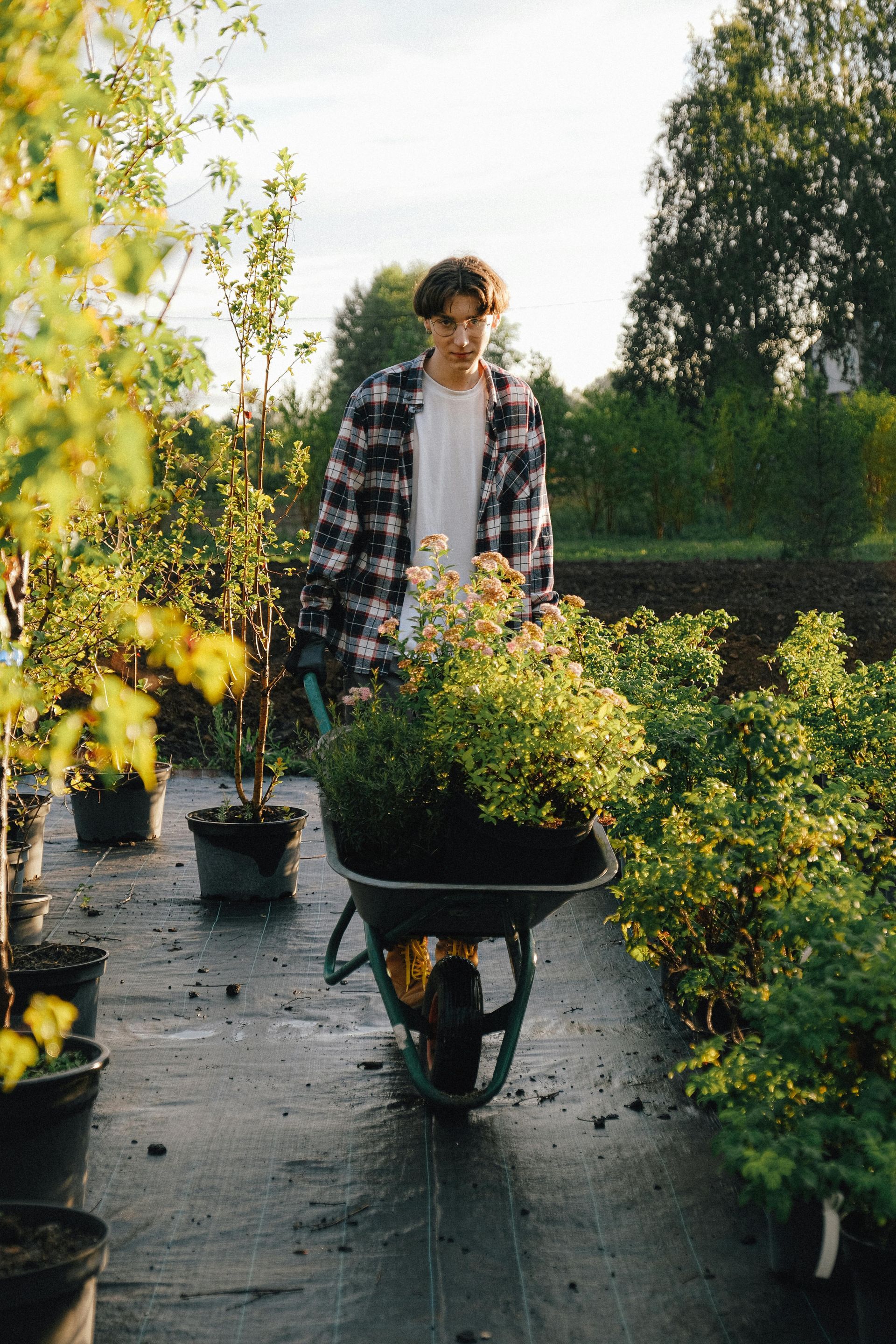 A person in a plaid shirt pushes a wheelbarrow filled with plants at a nursery. They are surrounded by potted plants.