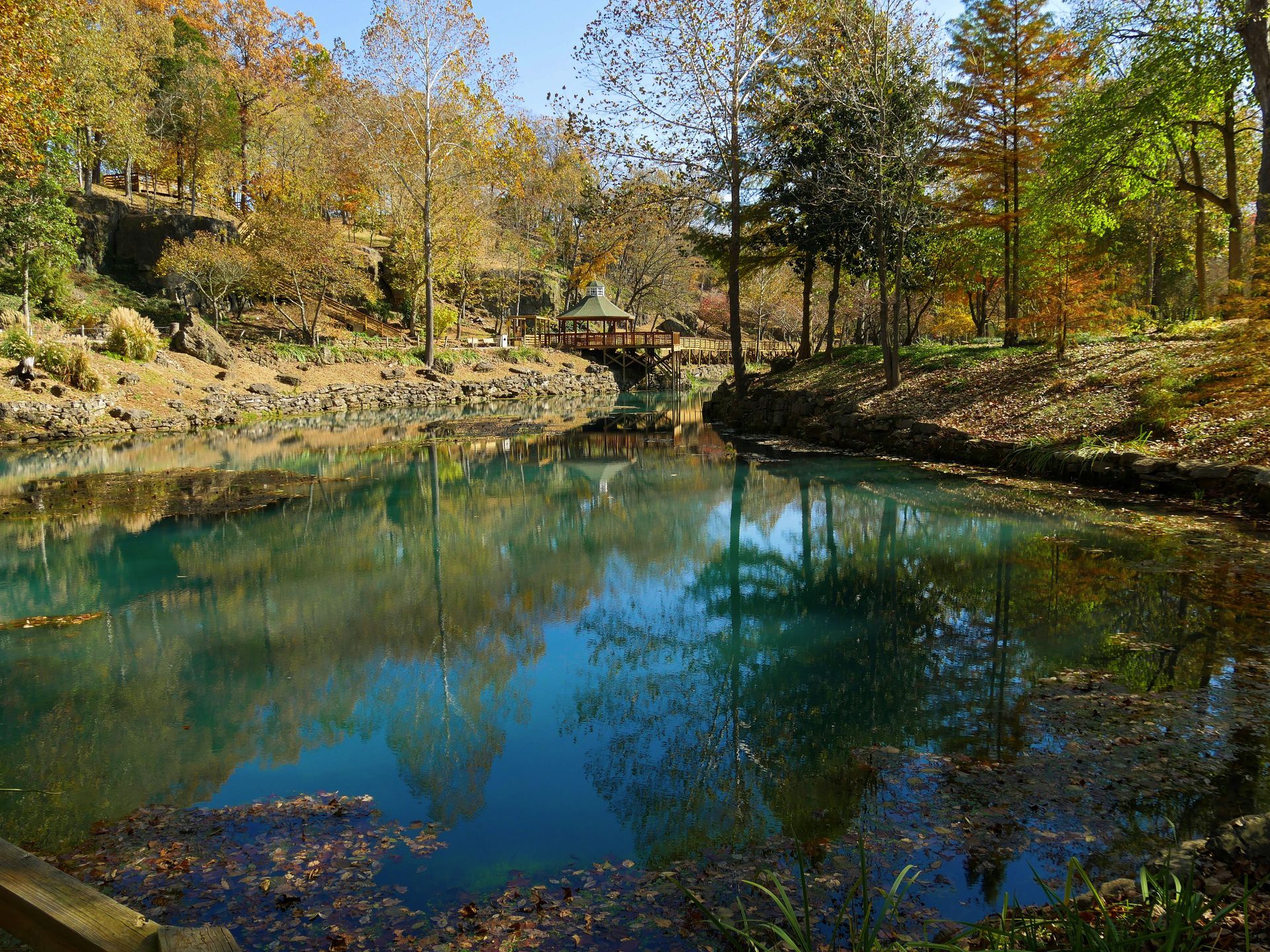 A small pond in the middle of a forest with a bridge in the background.