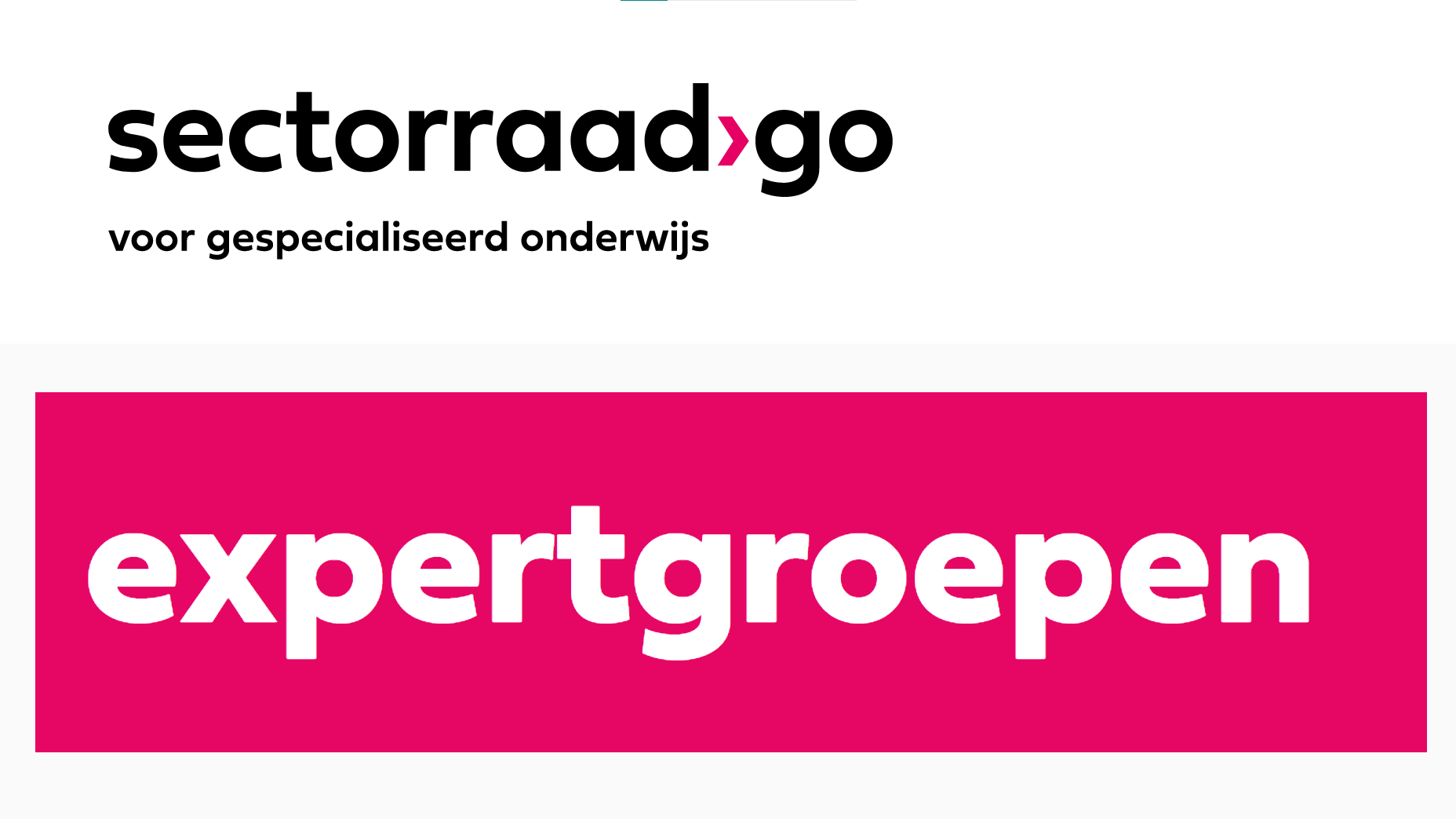 Expertgroepen Sectorraad GO
