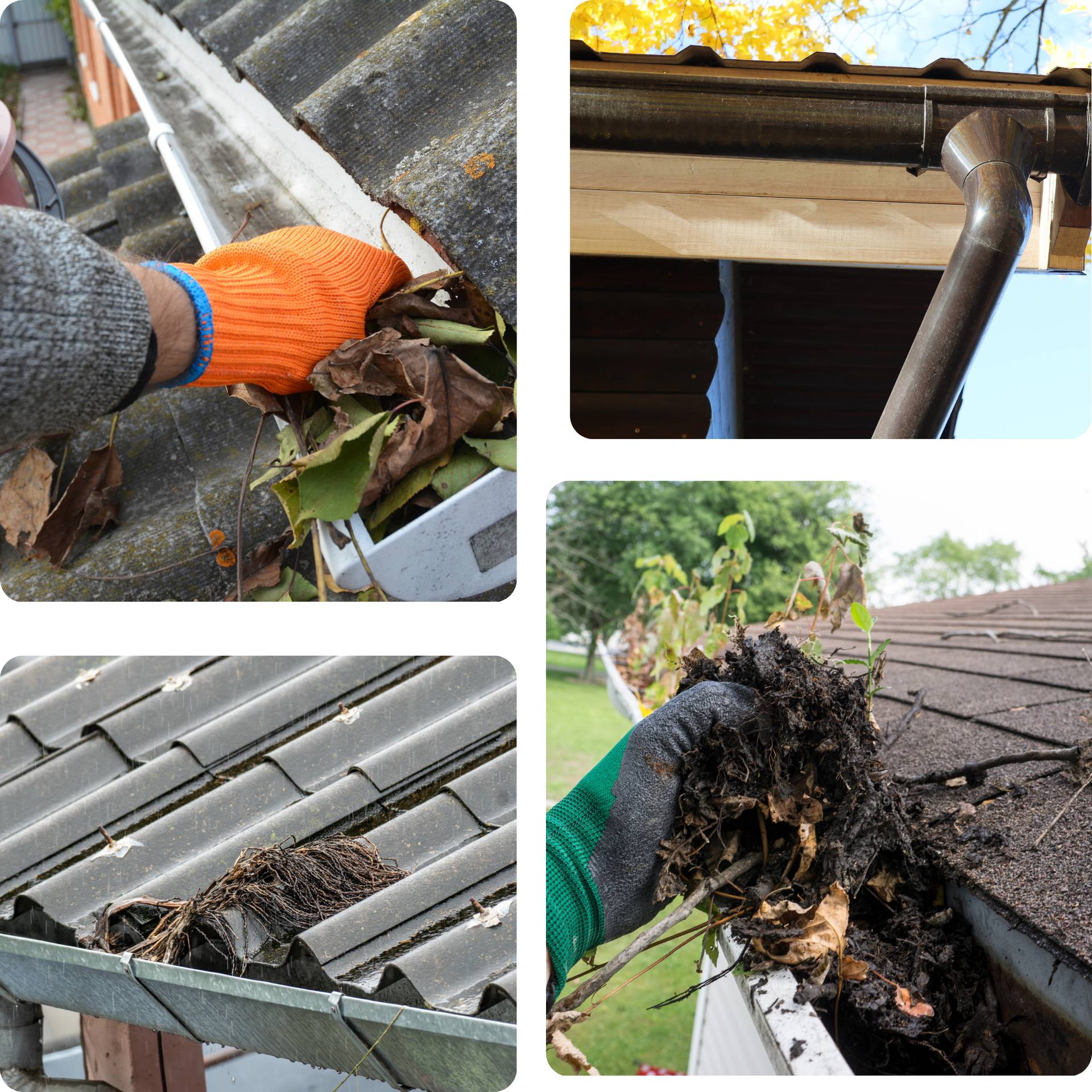 The right color - Four interior and exterior home views: entryway, living room, sunroom, and hallway.