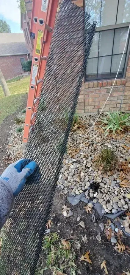 A person is holding a piece of wire next to a ladder.