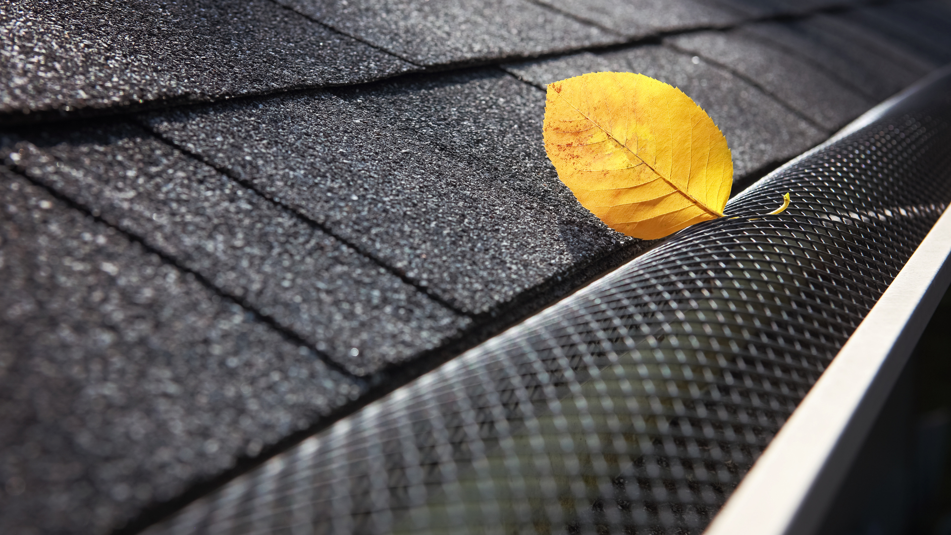 AquaWorks Rain Gutters - Yellow leaf in a black gutter next to a dark roof.