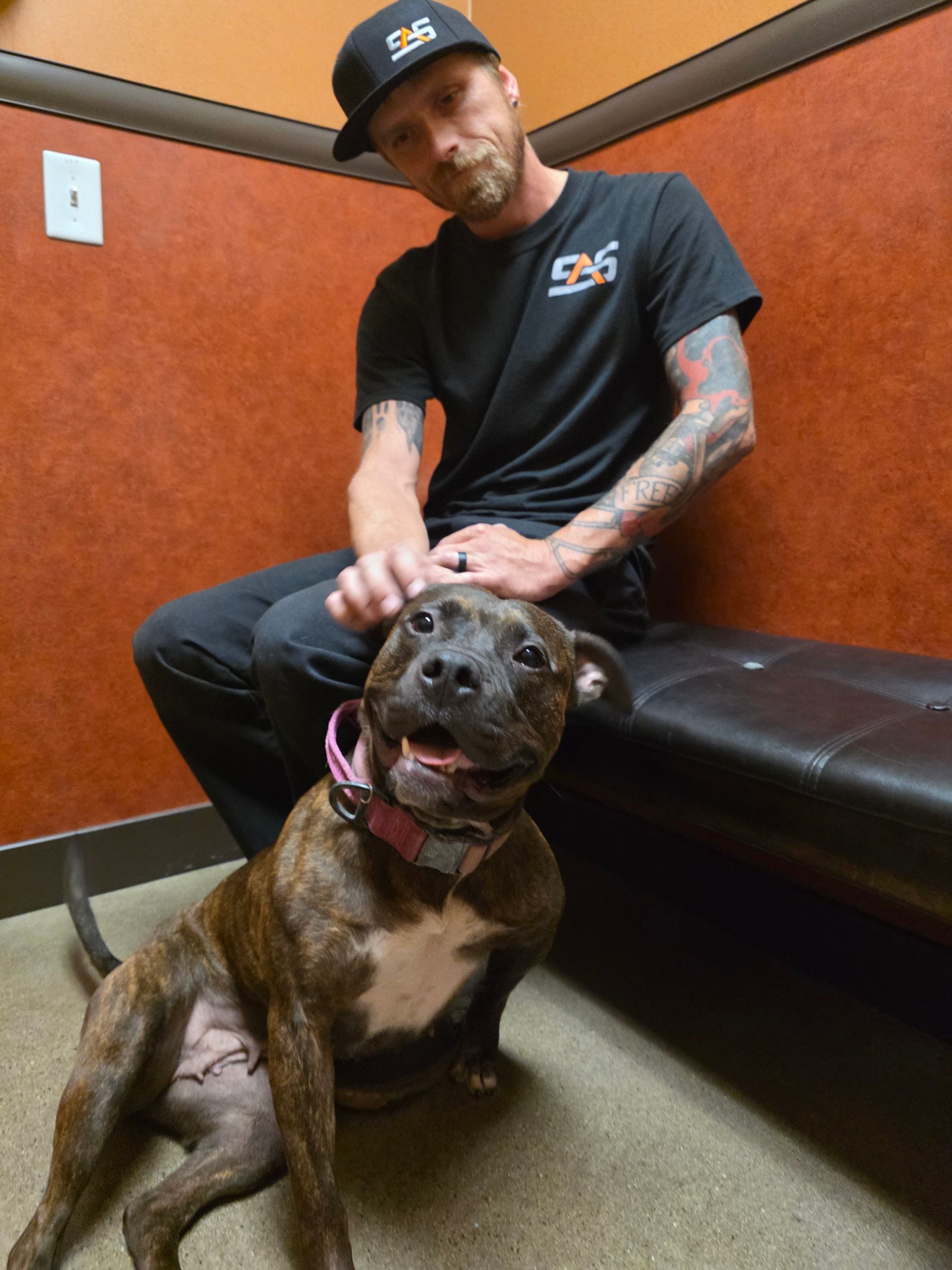 Pit Bull Mia Image 3 | Severson Auto Service