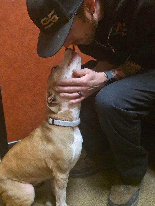 Dog for adoption, Lucy | Severson Auto Service