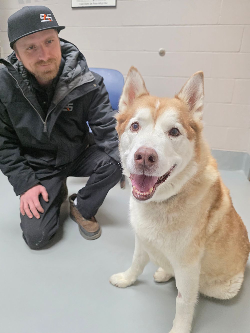 Dog for adoption, Thane | Severson Auto Service