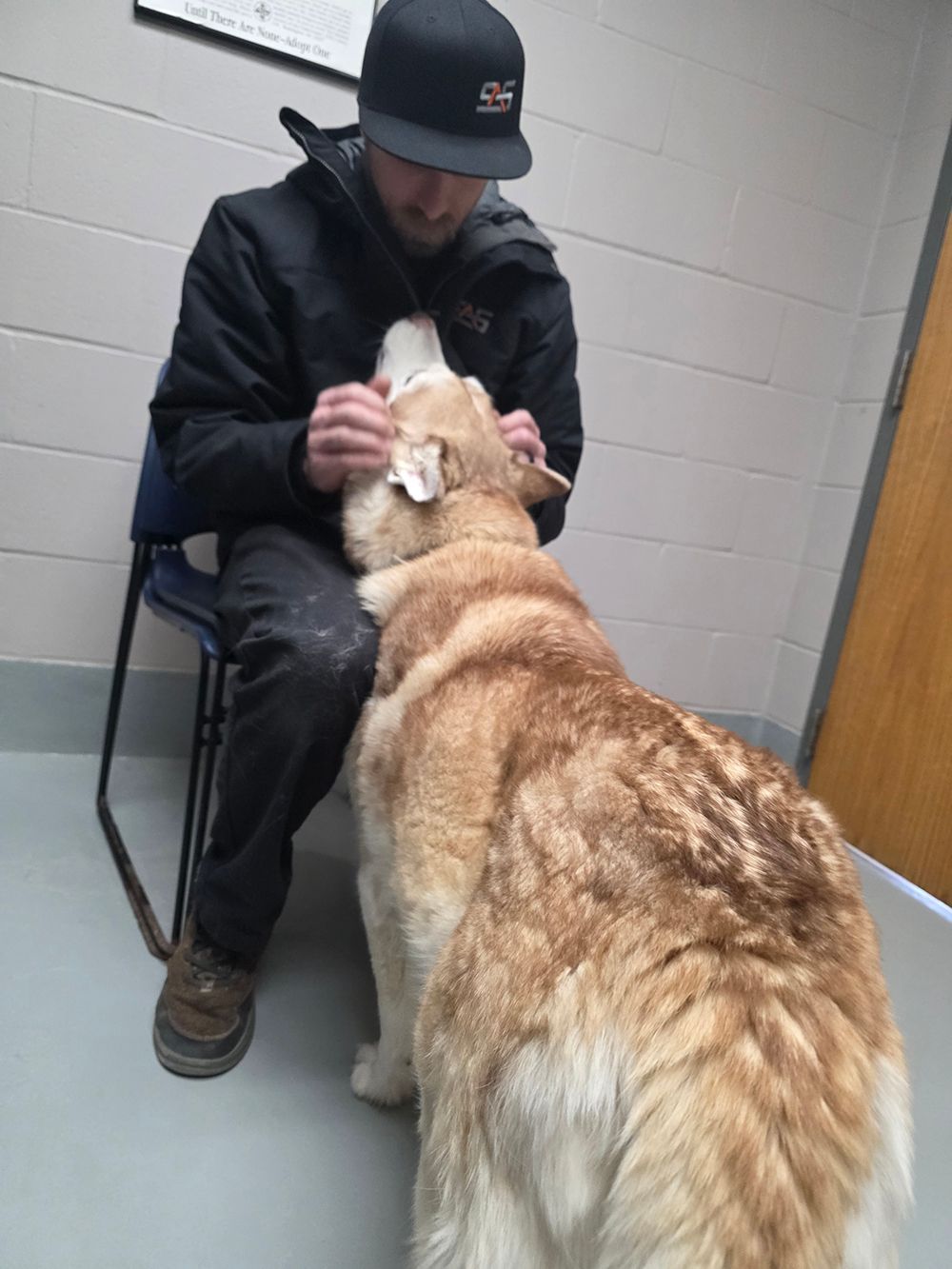 Dog for adoption, Thane | Severson Auto Service