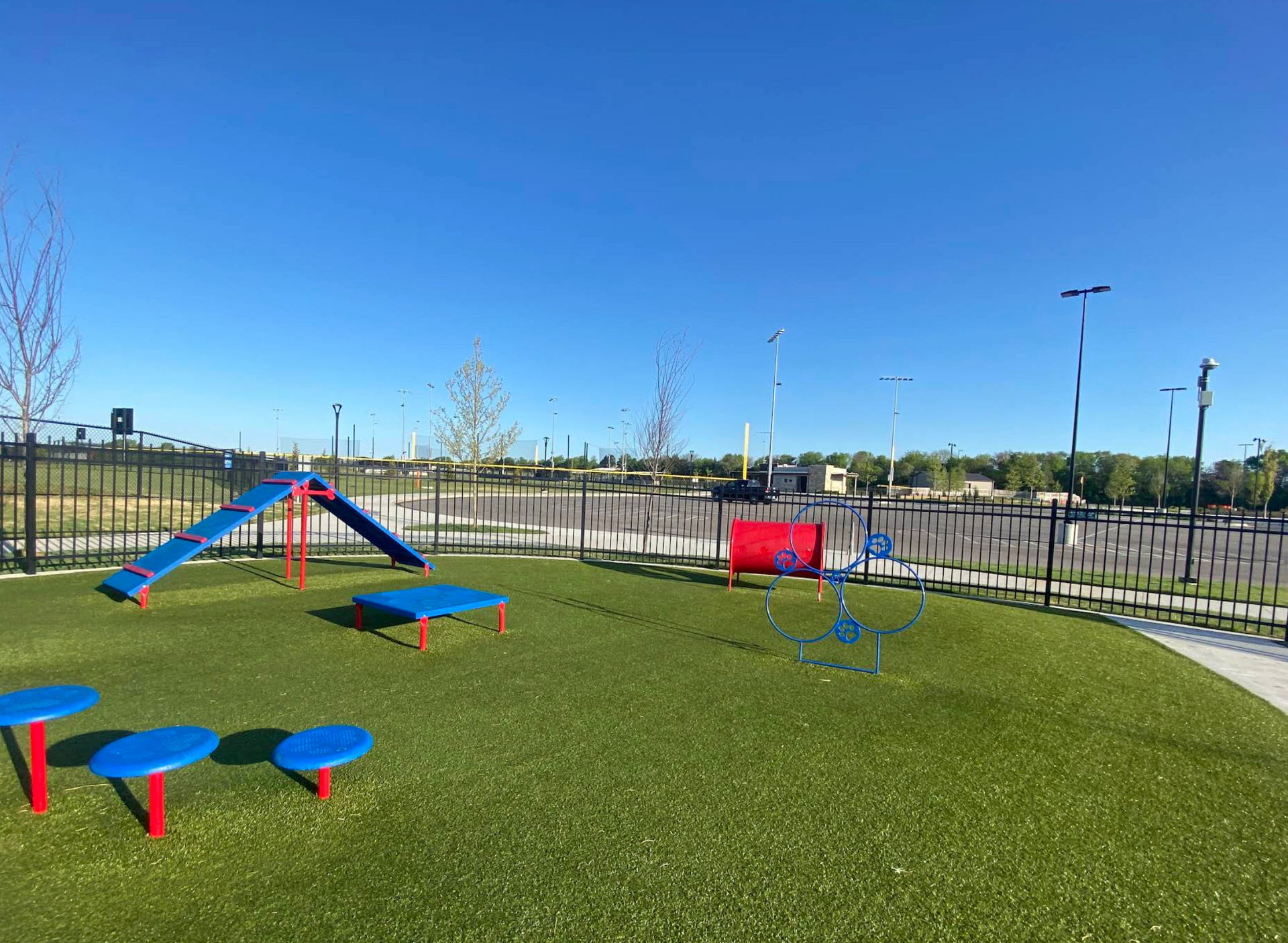 A dog park with blue and red toys on the grass.