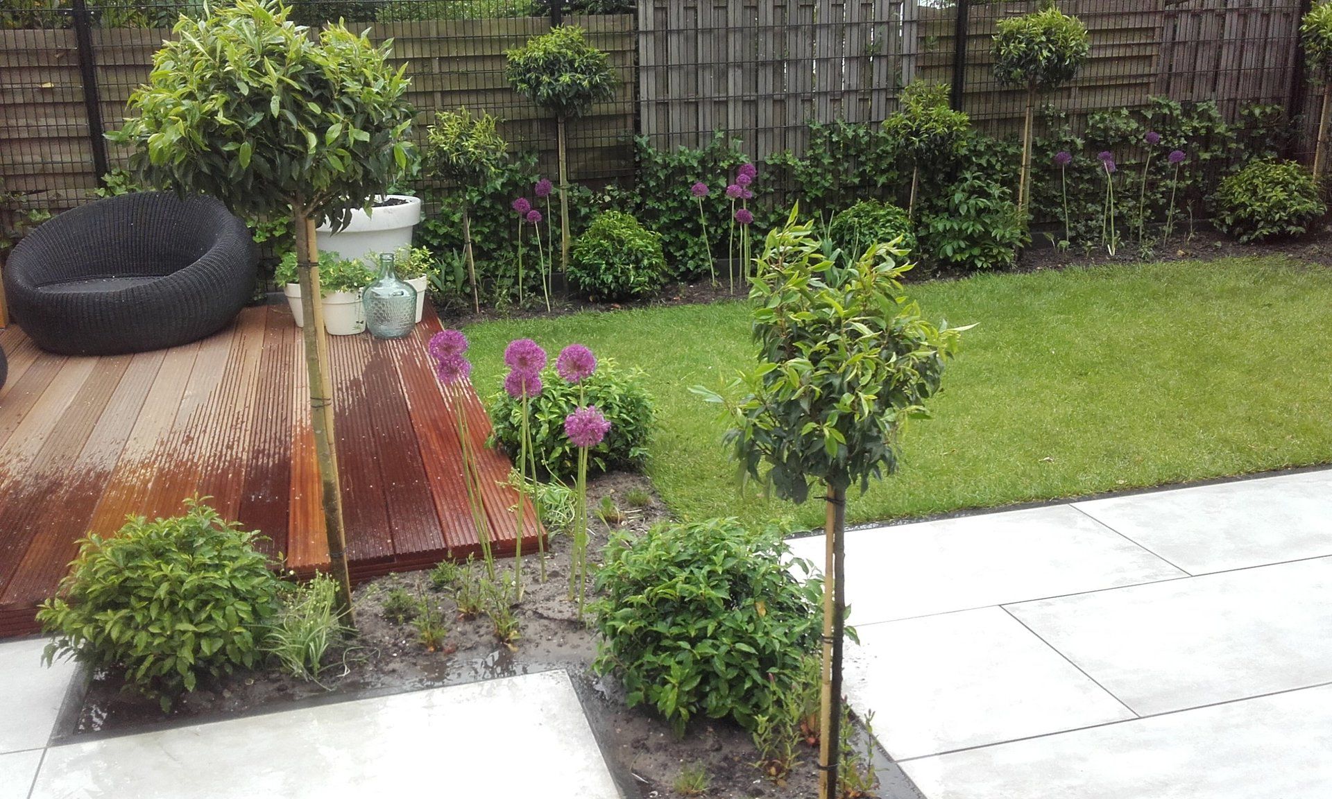 Hanneke Lansdaal Tuinplanten Westland