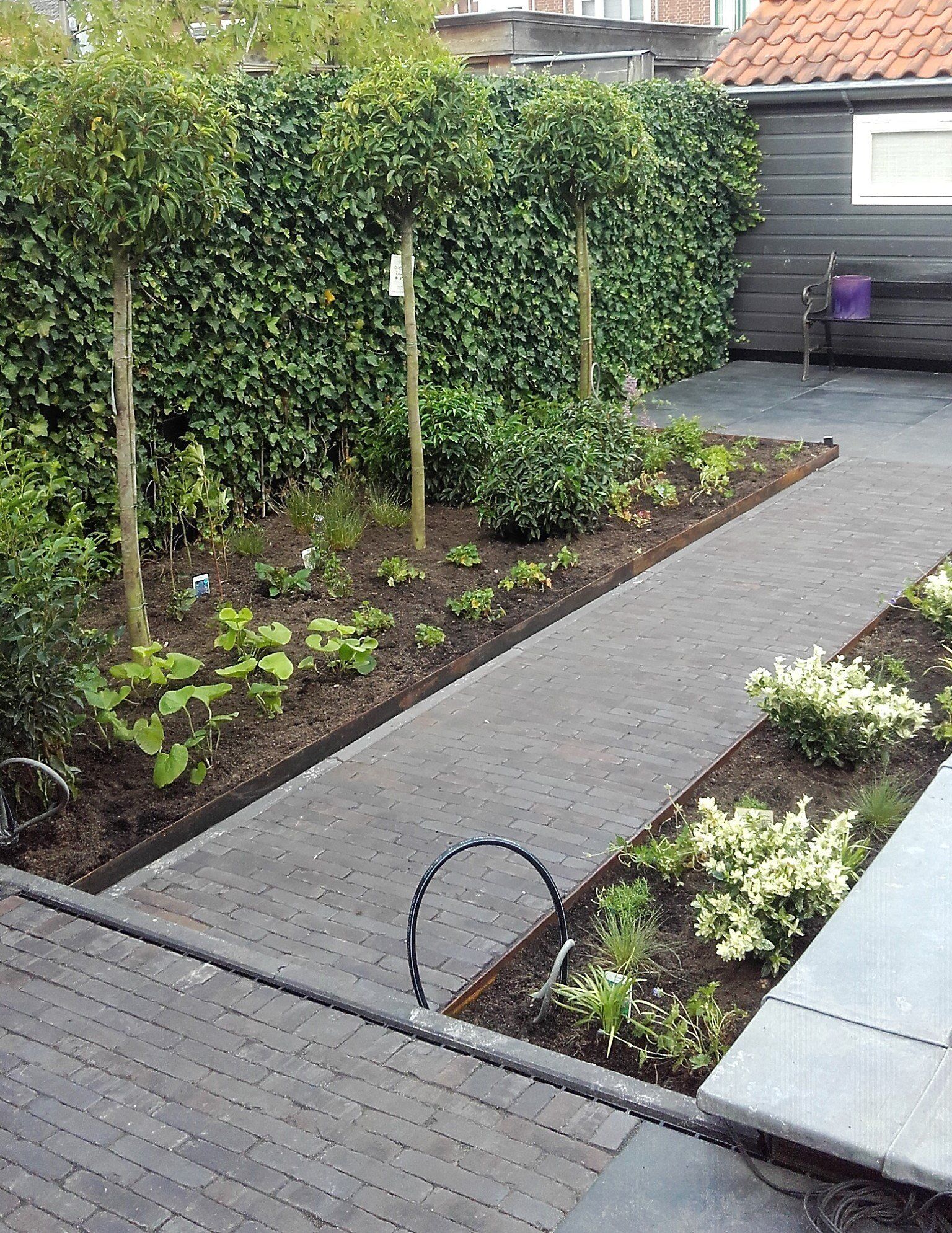 Hanneke Lansdaal Tuinplanten Westland