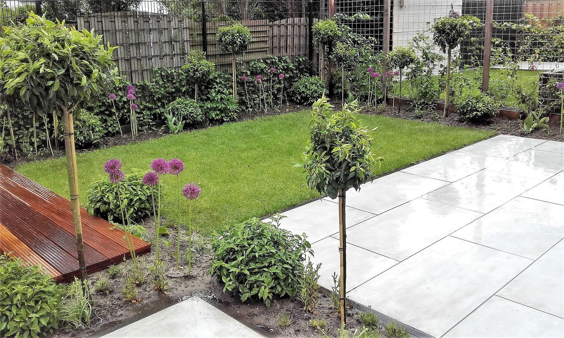 Hanneke Lansdaal Tuinplanten Westland