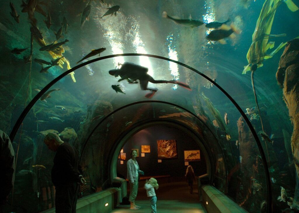 oregon-coast-aquarium
