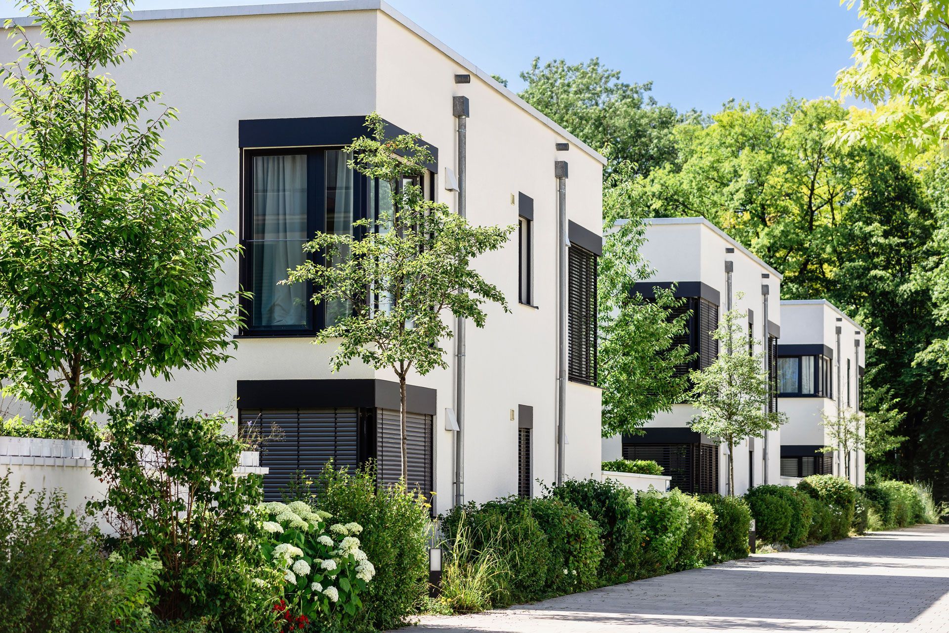 Modern white townhouses with black accents, surrounded by green trees and hedges along a quiet street