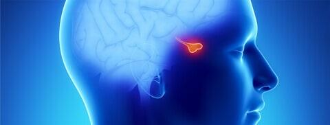 DR. EDUARDO M. GARZA TAMEZ - Hipofisis