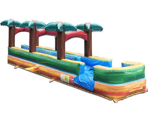 32' Dual Lane Palm Tree Slip and Slide — Genesee County — Valley Tent Rental