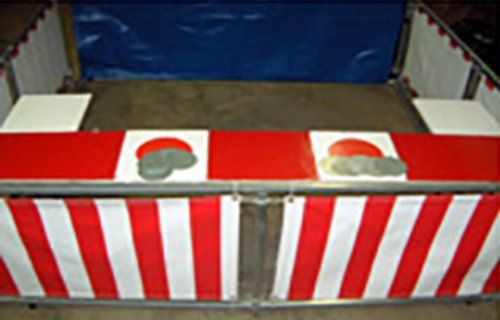 Cover the Spot Rental — Cover the Spot Game in Goodrich, MI