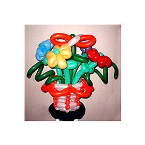 Valley Entertainers — Twisted Balloon in Goodrich, MI