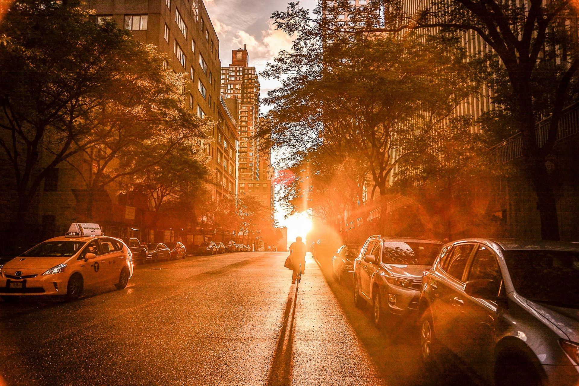 Golden sunlight bathes a city street. A person bikes toward the bright sun between parked cars and buildings.