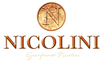 logo-nicolini-01