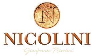 logo-nicolini-01