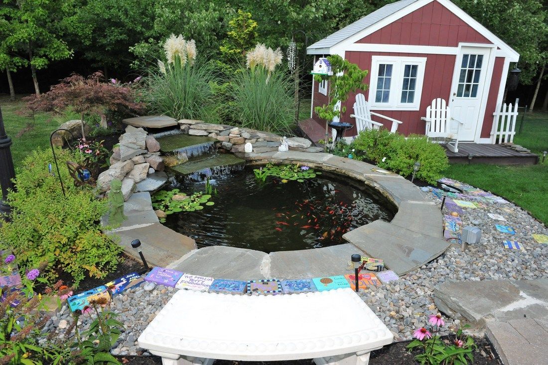 Backyard pond with waterfall, lily pads, and a red shed in the background. Stone and mosaic accents surround the pond.