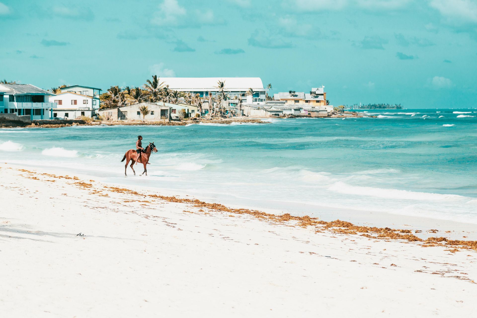 Horseback rider on a white sand beach with turquoise water. Buildings in the distance under a blue sky.