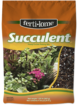 fertilome Succulent Mix