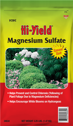 Magnesium Sulfate