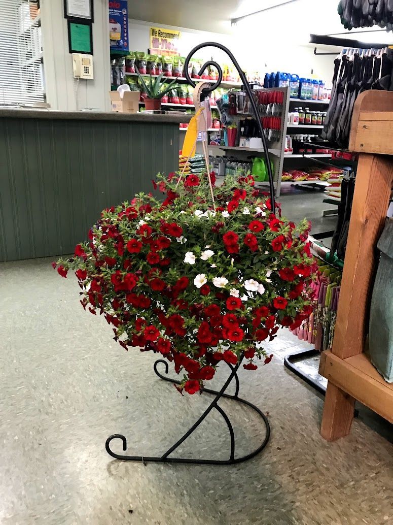 Hanging basket on a tina tower