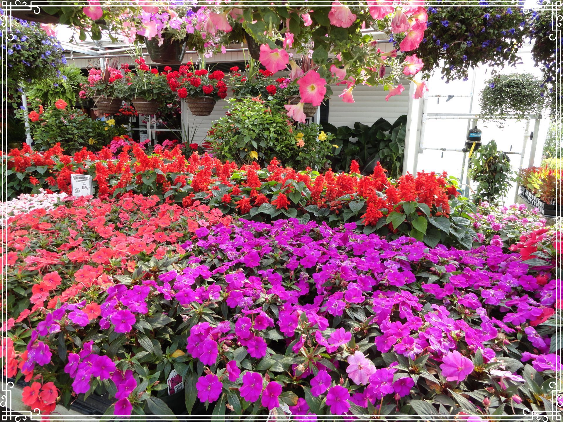 Links to more information about more information.