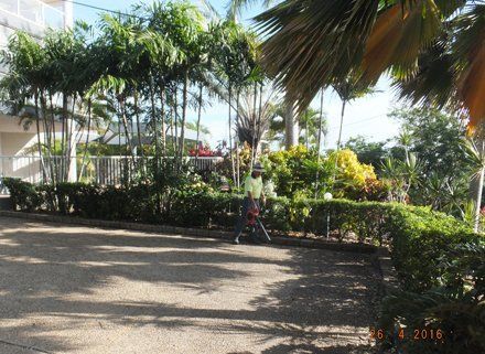 View of a well maintained pathways