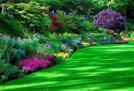 Well maintained garden by expert 