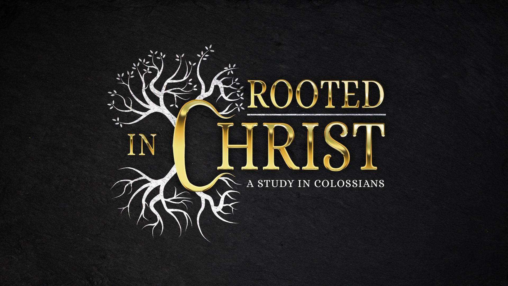 Rooted in Christ