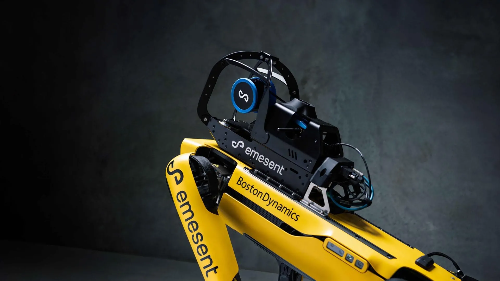 Gelber Roboterhund mit schwarzer Sensoreinheit oben drauf; vor grauem Hintergrund.