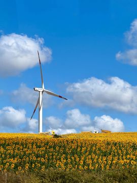 A wind turbine is sitting in the middle of a field of sunflowers.