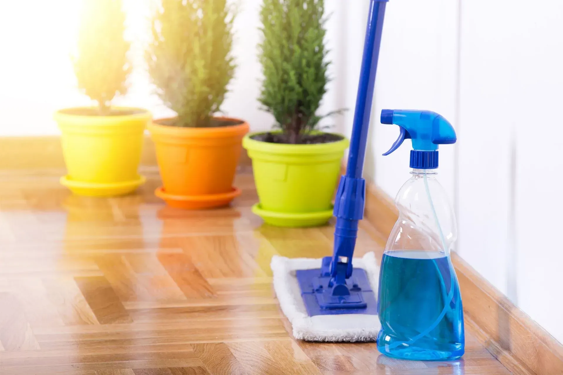 Schedule a Free Estimate