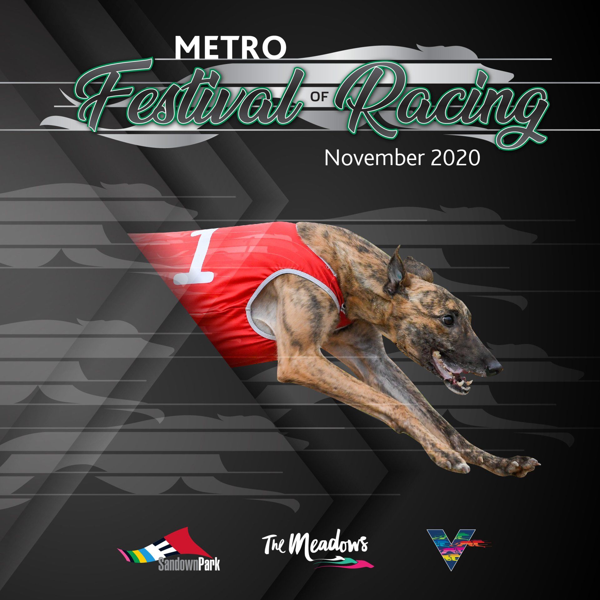 GRV Metro Festival of Racing