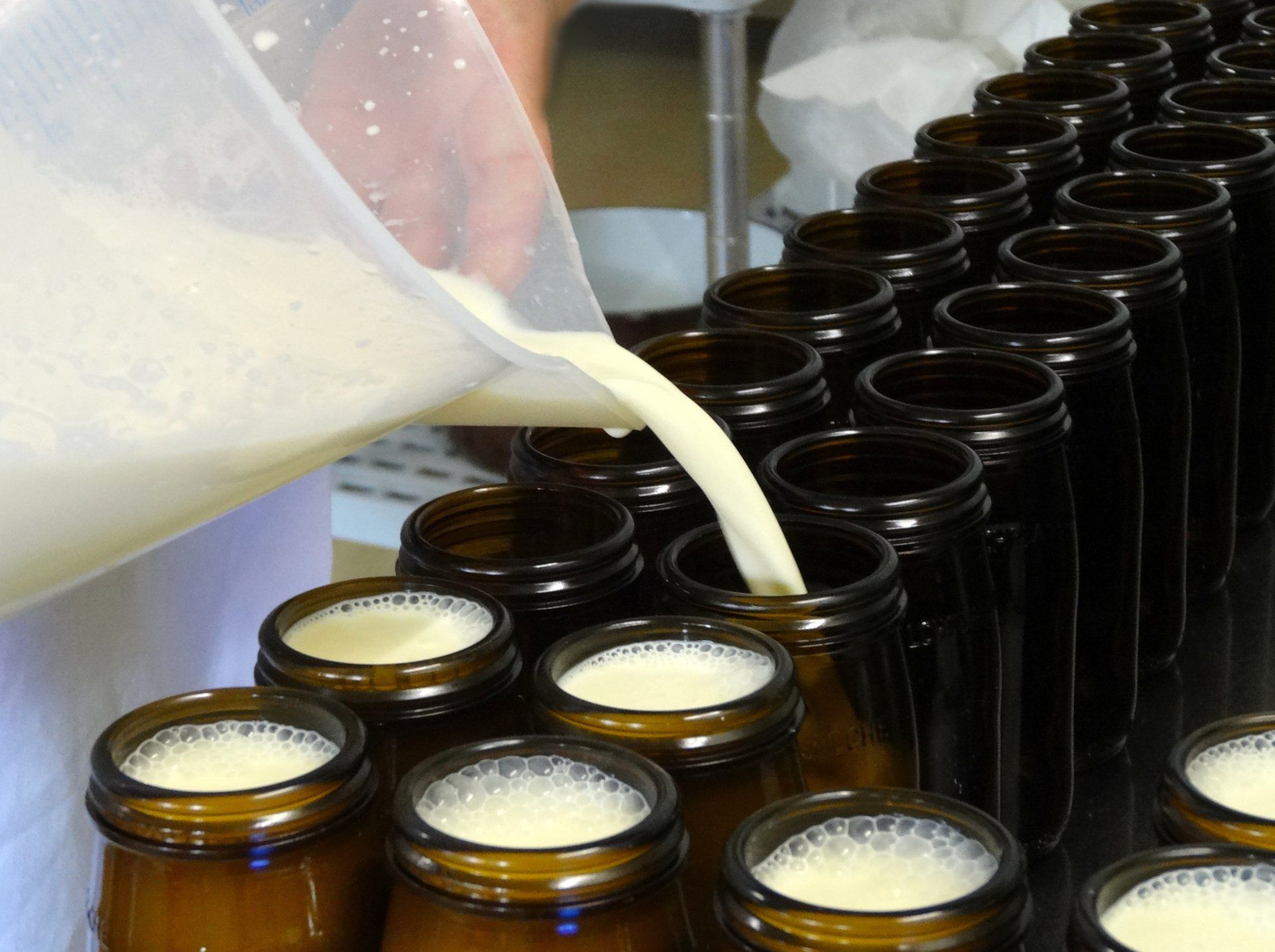 Aschacherhof, Bio-Bauernhof