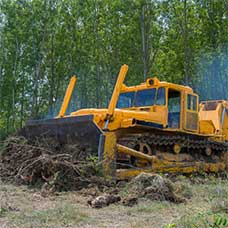 Bulldozer Eradicating Forest - Tree Service in Oak Forest,, IL