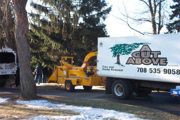 Truck Transferring Trees - Tree Removal in Oak Forest,, [[cms:structured_a