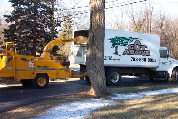 Truck Transferring Trees - Tree Removal in Oak Forest,, IL