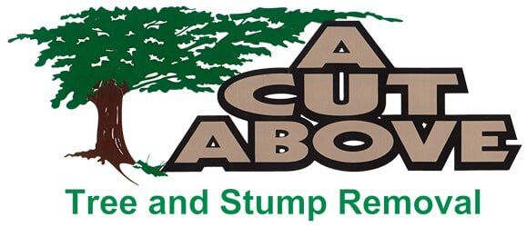 A Cut Above Tree &Stump Removal, Inc.