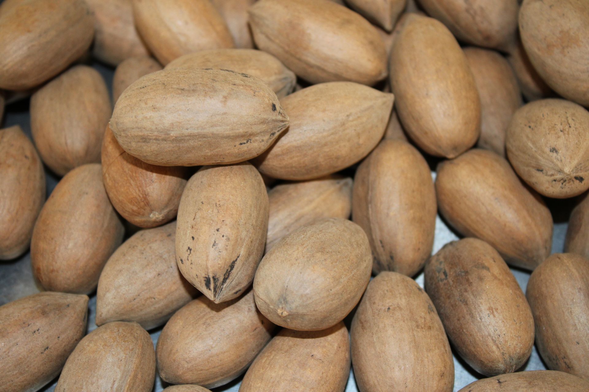 A pile of pecans in their shells on a table