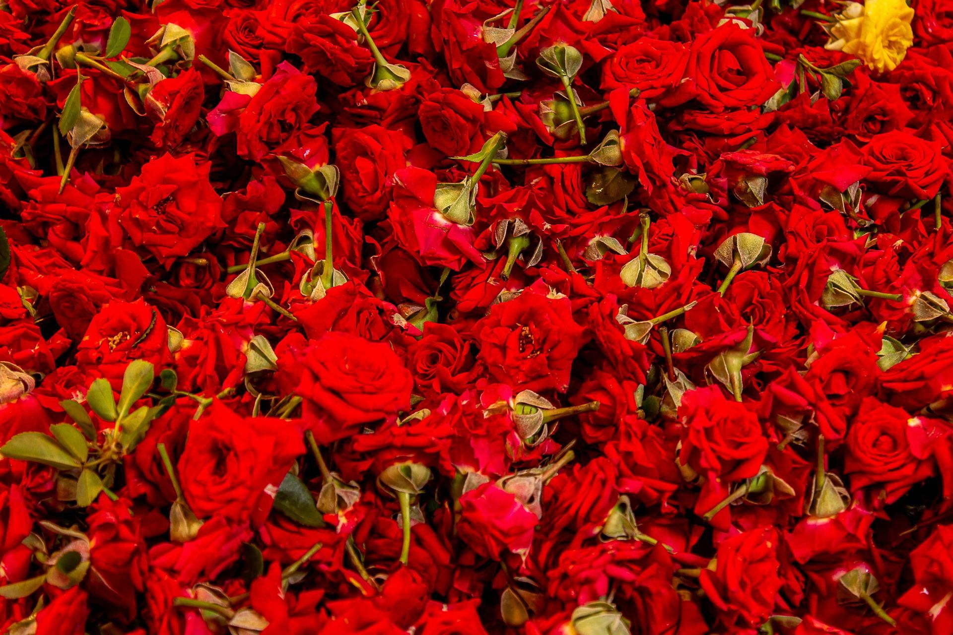 Final de semana dos NAMORADOS  hover