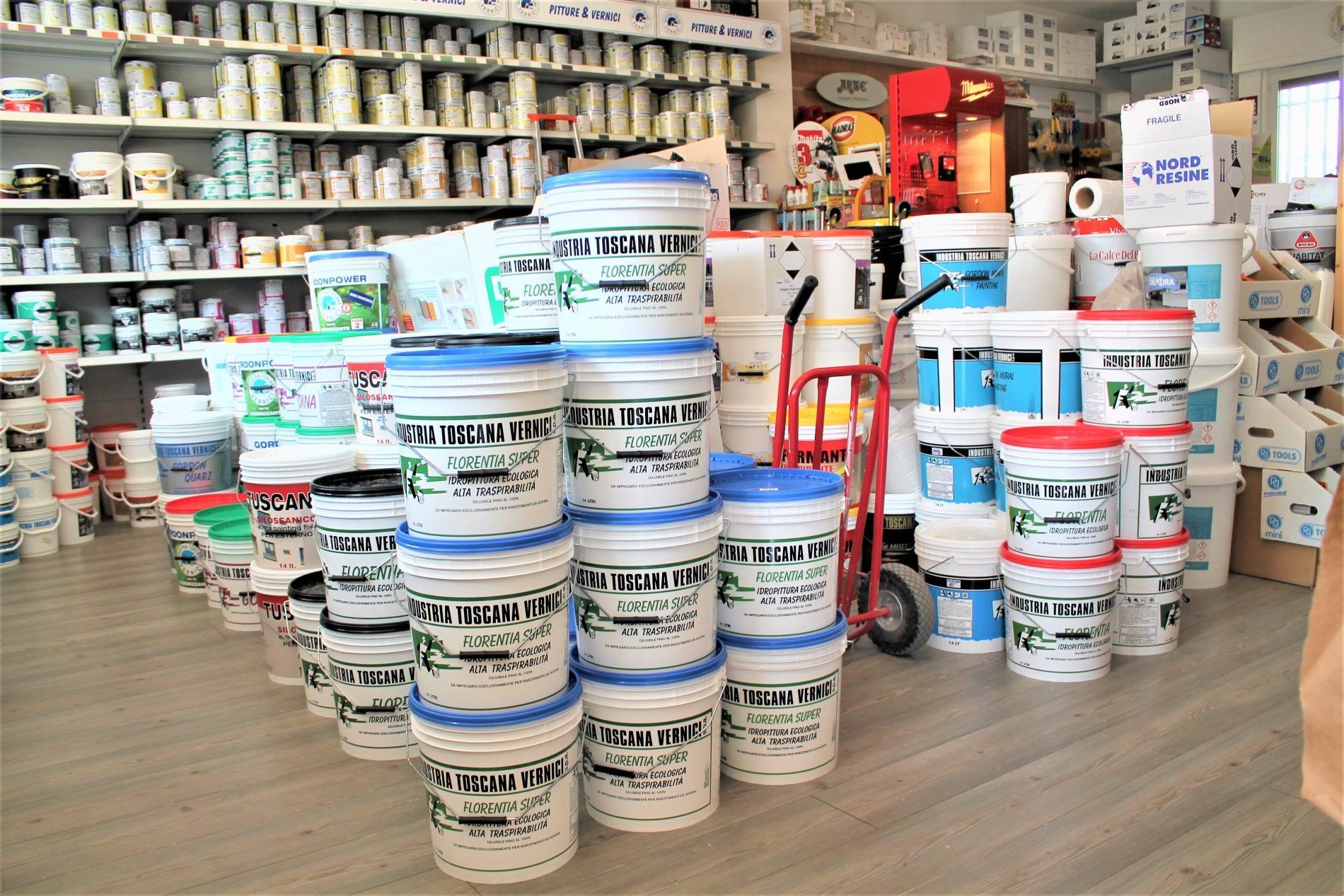 Fornitura di pitture murali